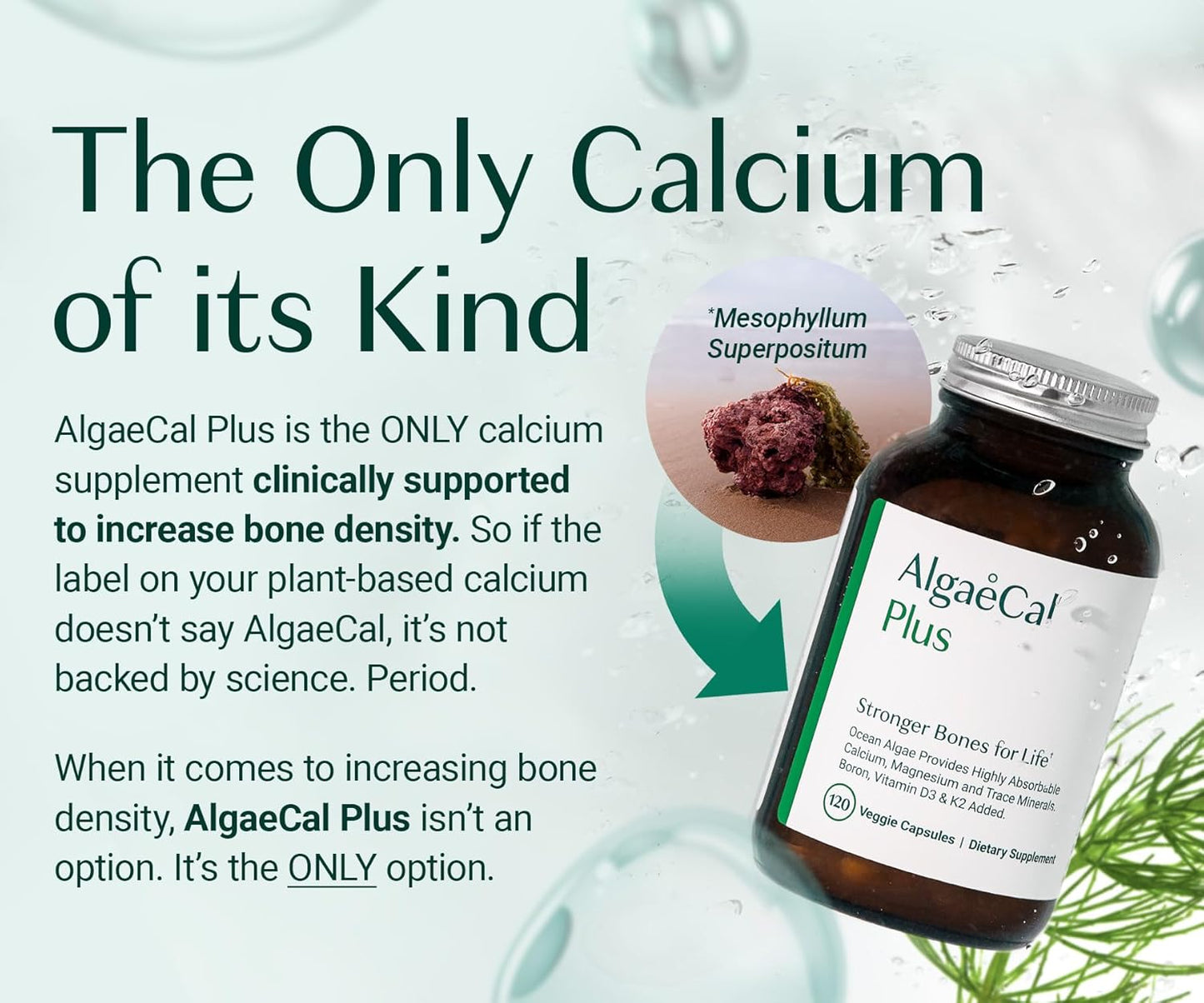 AlgaeCal Bone Builder Pack – Plant-Based Calcium & Strontium for Bone Strength and Density