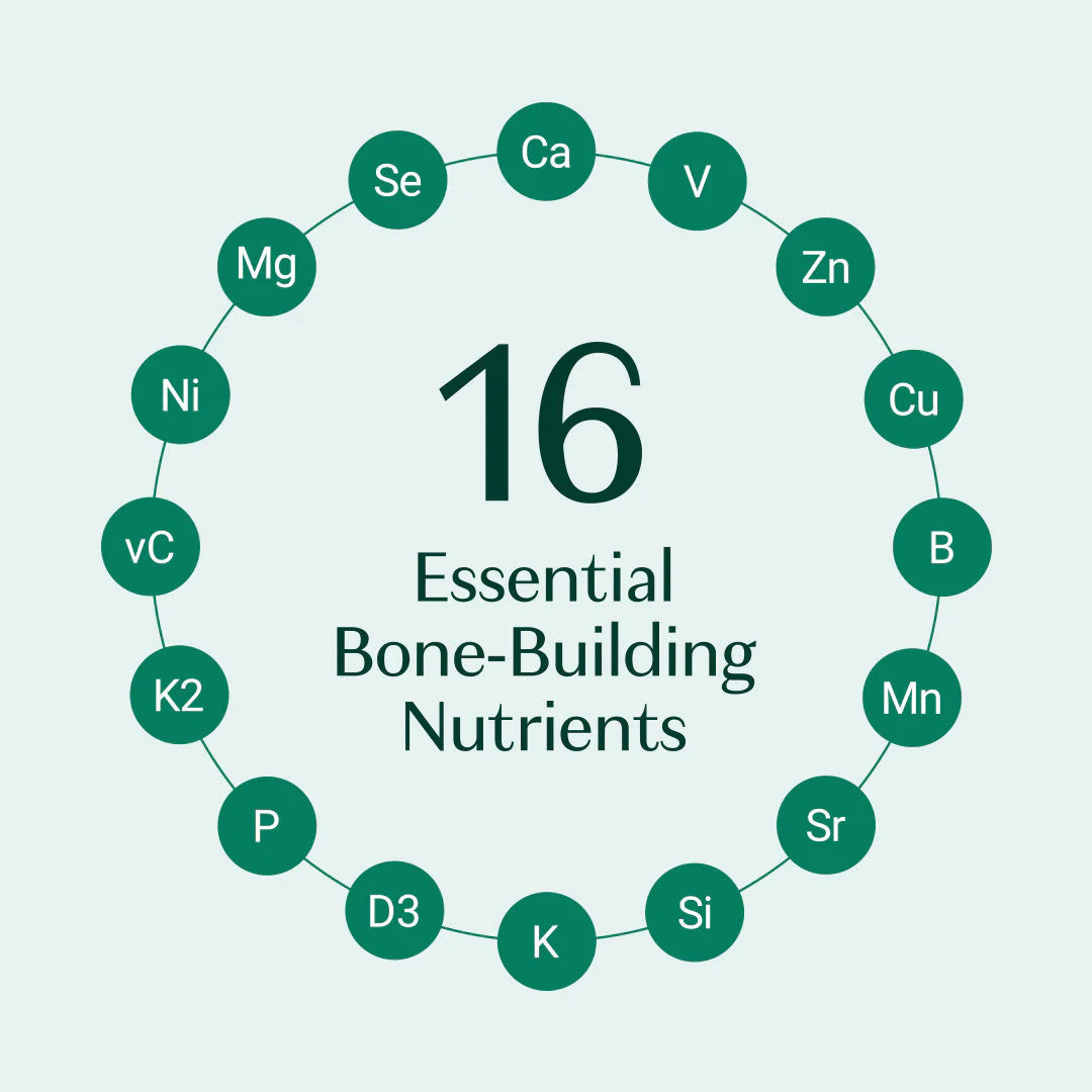 Bone Builder Pack